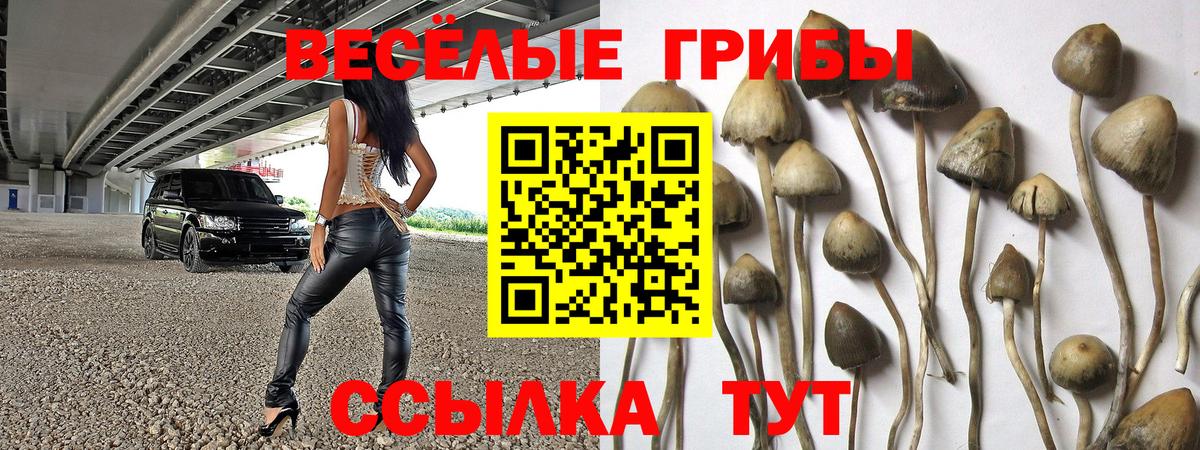 Псилоцибиновые грибы ЛСД  Вход с VPN  Солнечногорск  Псилоцибиновые грибы Magic Shrooms 